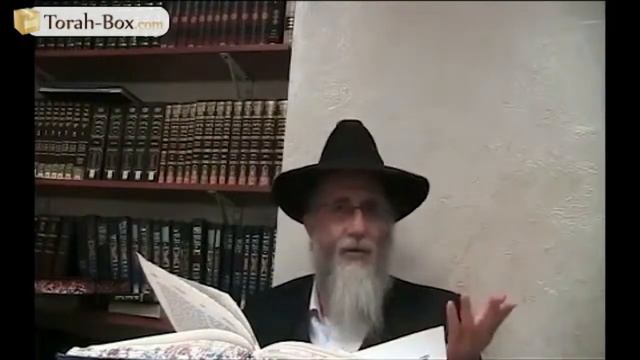 PARACHA TETSAVÉ 2024 🕯️ PROGRAMME "CHABBATH CHALOM" смотреть онлайн