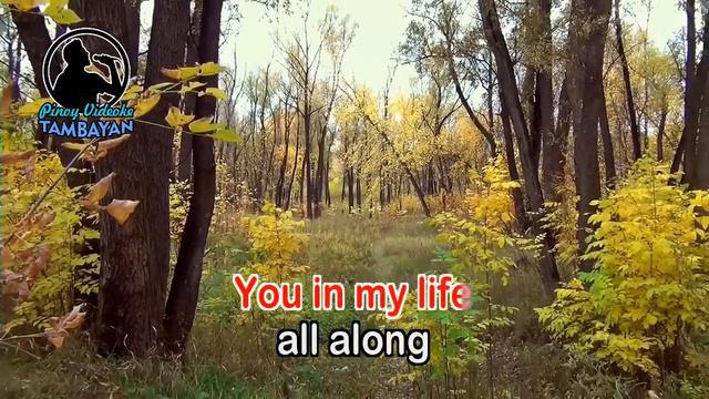 Something New In My Life - Stephen Bishop (KARAOKE VERSION) смотреть онлайн