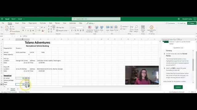 Excel 2.7 Learn to use the Format Painter - JAO смотреть онлайн