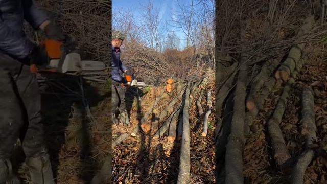Бензопила Штіль 250 смотреть онлайн