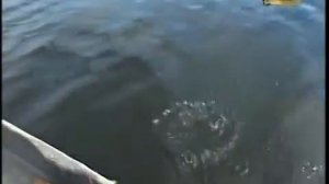 Клёвое место  Подмосковье, Шатура оз  Святое