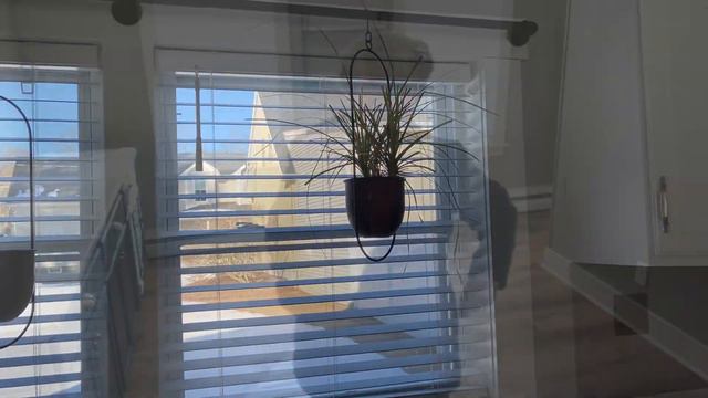 DONE! смотреть онлайн