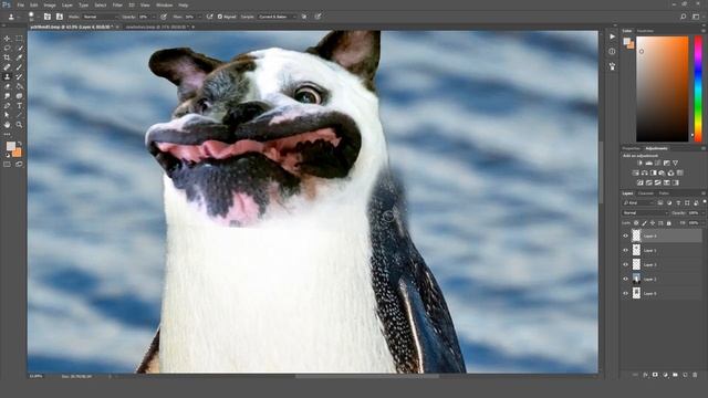 What do you get if you cross a penguin and a dog? - Funny Photoshops #28 смотреть онлайн