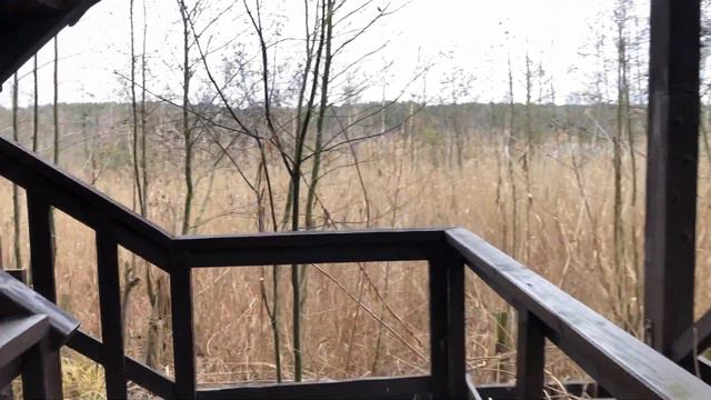 Sobieszewo - "Ptasi Raj" zimą смотреть онлайн