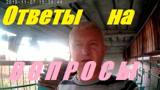 Почему исчезли пчёлы осенью-мысли вслух.Почему без химии не побороть Варроатоз. смотреть онлайн