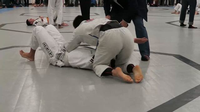 Jiu Jitsu White Belt Semi Finals смотреть онлайн