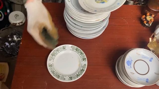 СТАРЬЁВЩИКИ: Вот так закупились.... смотреть онлайн