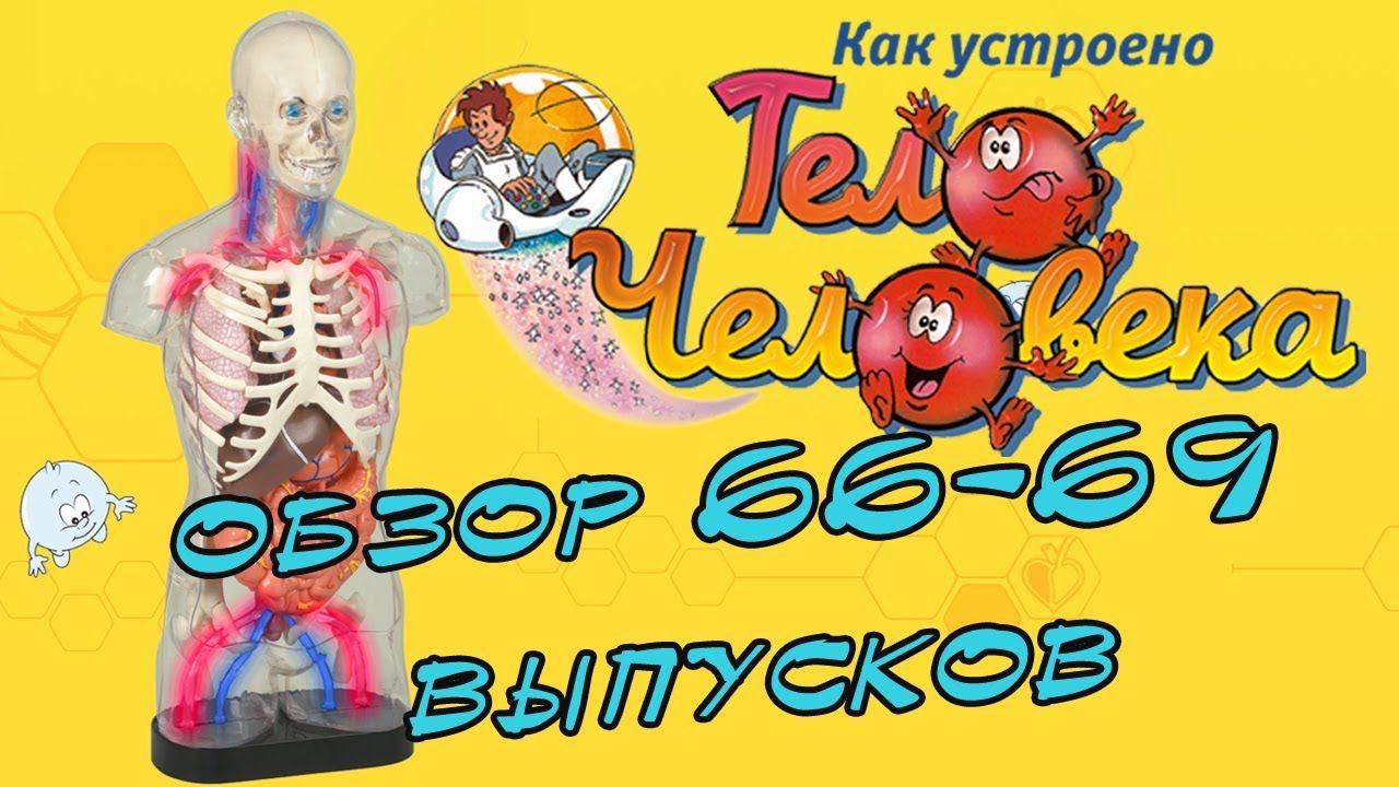 Как устроено тело человека | DeAgostini | 66-69 выпуски смотреть онлайн