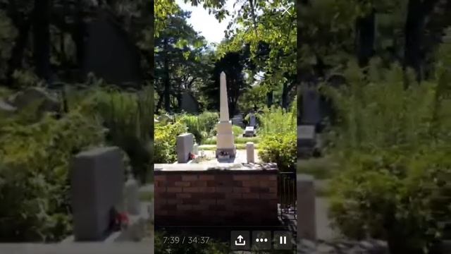 Могила Хатико в Японии смотреть онлайн