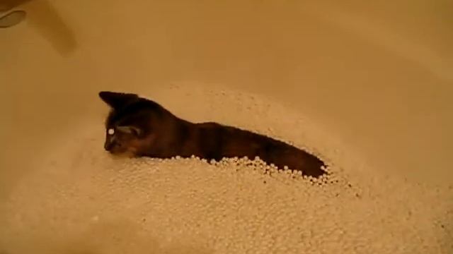 На Mebforum.ru - Котэ. Бескаркасная мебель в Зеленокумске.mp4