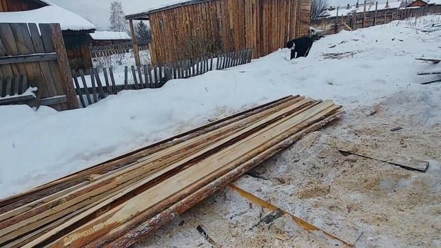 Убрать горбыль или штраф - Таскаю и пилю горбыль на дрова - Зима, поселок Сухой смотреть онлайн