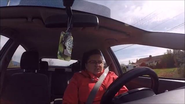 Поездка на аукцион животных и разное... смотреть онлайн