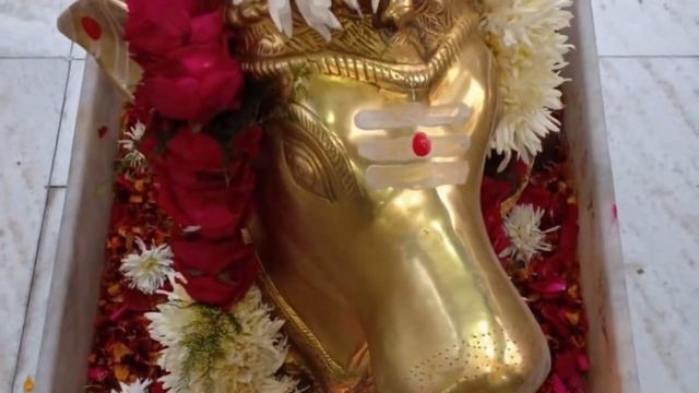 Maha Shivratri Special | Mahadev | Mahakal | Bholenath WhatsApp Status Video 2021 | Shiv Stotram