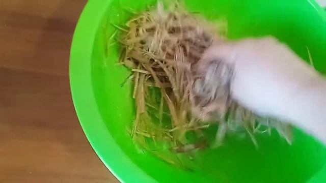 Поделка. Гнездо из лыко своими руками смотреть онлайн