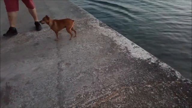 ОДНА В ДЕРЕВНЕ. ЧТО Я ТАМ ДЕЛАЛА. смотреть онлайн