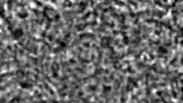 Spiral waves in Dictyostelium discoideum смотреть онлайн