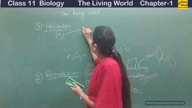 The Living World Class 11 Biology Chapter 1 Part-1