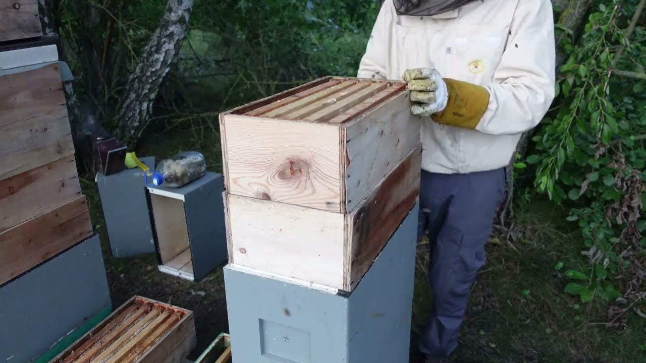 после себя ураган оставил еще один след смотреть онлайн