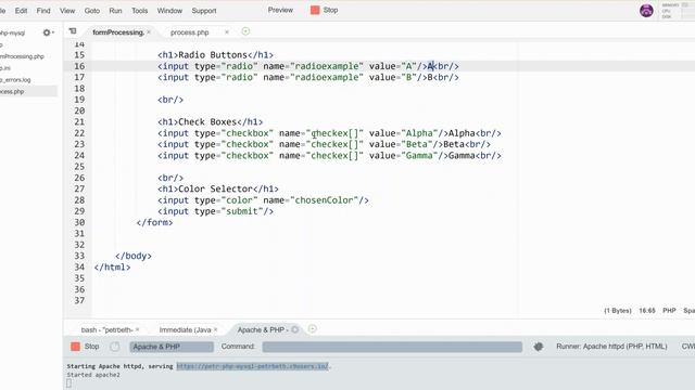 PHP Processing of non-text Form Input смотреть онлайн