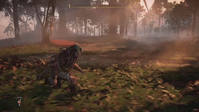 Horizon Forbidden West Tree Pop In смотреть онлайн