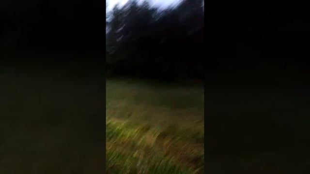 На косил виракс 1.65 смотреть онлайн