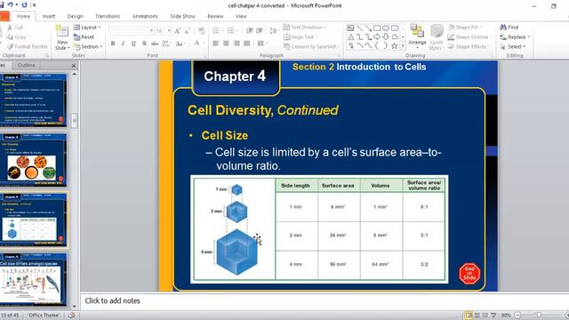 Why most cells are small in size? Cells shapes Diversity of cells . for 9th ,FSC and BS level. смотреть онлайн
