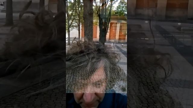 One more reason to learn foreign languages. Еще одна причина изучать иностранные языки. N.N. (2023) смотреть онлайн