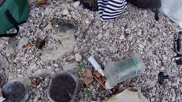 РЫБАЛКА НА ЛЕЩА ? ФИДЕР BROWNING SPHERE за 45 000 рублей ? МНОГО ЛОВИМ НА ФИЛЬТРЫ, УКРОП, ПШЕНИЦУ смотреть онлайн