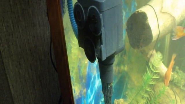 Фильтрация аквариума|Мини обзор помпы Xilong XL-180|Встроенный биофильтр