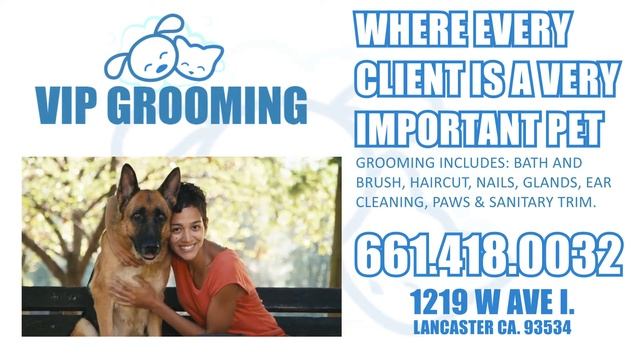 VIP GROOMING - Advertising in Lancaster Ca. - Digi-VUE Advertising - Digital Signage Content смотреть онлайн