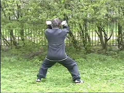 Тесяцюань "Наматывание железной нити" шаолиньское искусство изменения мышц и сухожилий смотреть онлайн