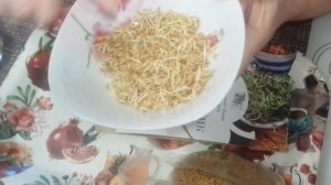 ПАЖИТНИК - от СТА болезней и для красоты