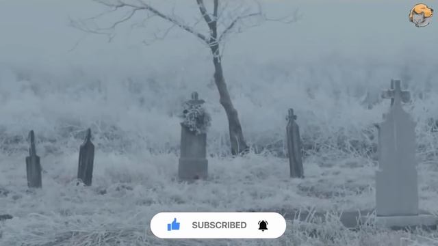 На глазах у семьи волк начал рыть могилу. Спас две жизни смотреть онлайн