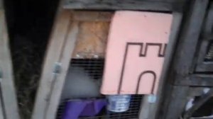 комбикорм для кроликов  своими руками