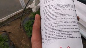 Опыление клубники в закрытом грунте