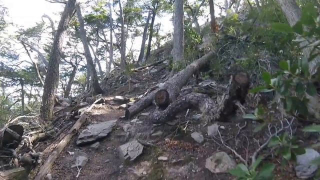 Очарованный Странник #38 // Национальный Парк "Огненная Земля", Ушуая, Патагония, Аргентина смотреть онлайн