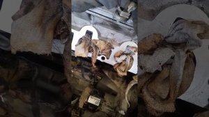 Замена датчика детонации Mazda Demio  de3fs