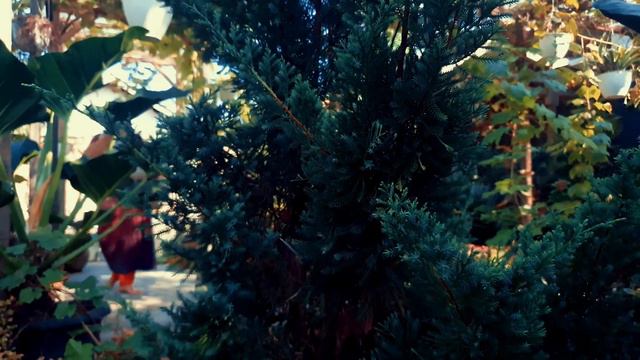 When A Narcissist Confronts You With Their Tricks, This Is How You Put Them Down In Their Place|NPD