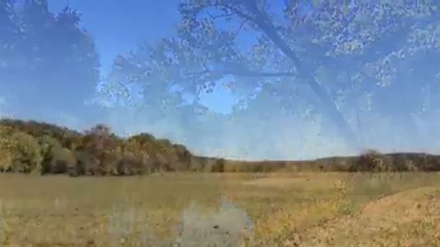 Kingston Ranch смотреть онлайн