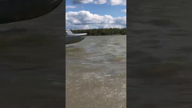 Neman 2 +Yamaha 55BED смотреть онлайн