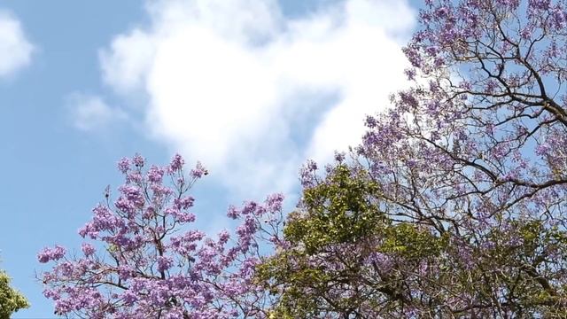 Свекровь жалела для беременной снохи чай, а после родов превратила её жизнь в ад. Тогда молодые ... смотреть онлайн