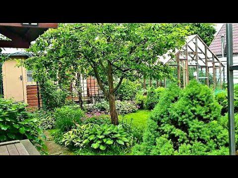 Дачные дела не кончаются Пора на мореГотовим сад к отъезду. Устанавливаем полив смотреть онлайн