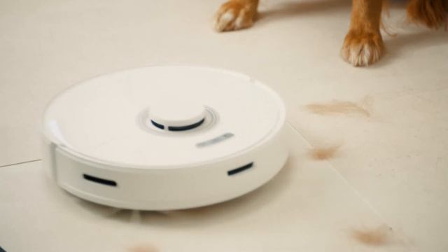 Презентация Roborock Q7 Max+