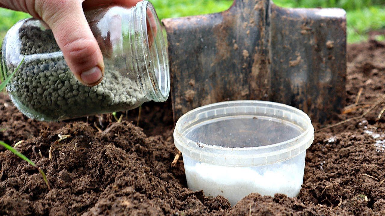 1 столовая ложка осенью заменит 100 удобрений! Осенью сыпать под все! Эта подкормка вошла в историю смотреть онлайн