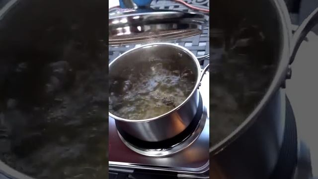 Boiling Water vs Germs Under Microscope (Does boiling pond water kill bacteria?) смотреть онлайн