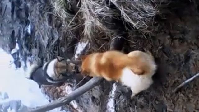 кунгур