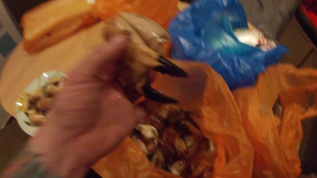 Приехали из Голландии с рыбой смотреть онлайн