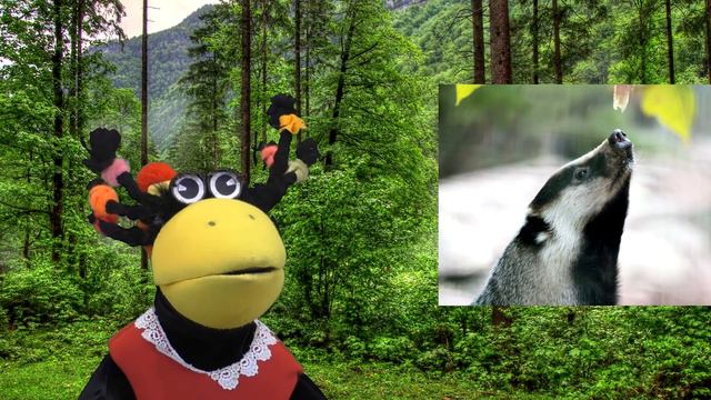 Азиатский барсук смотреть онлайн