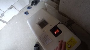 Инкубация УТИНЫХ яиц в инкубаторе НЕСУШКА.