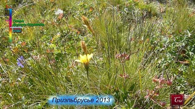 Эльбрус 2013 смотреть онлайн